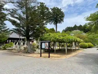 浄土寺(兵庫県)