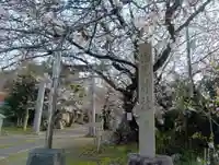 酒見神社の御朱印