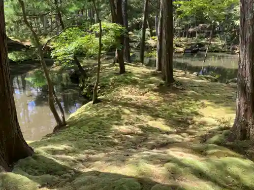 西芳寺(京都府)