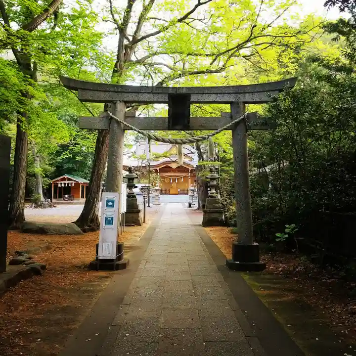 小金井神社の鳥居
