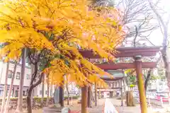 住吉神社(岩手県)