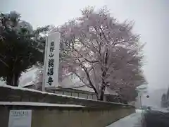 糸沢　龍福寺の景色