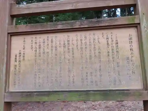 神炊館神社 ⁂奥州須賀川総鎮守⁂の歴史