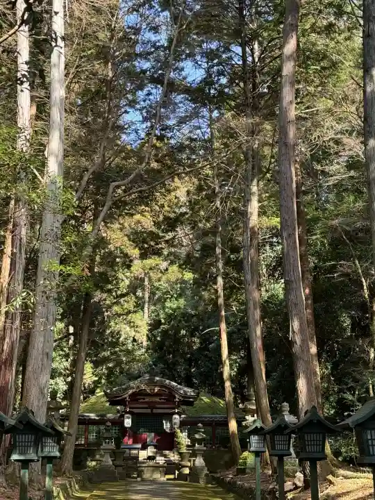 根来寺の{uncategorized: "未分類", other: "その他", undefined: "問題あり", building: "その他建物", grave: "お墓", sacred_gate: "鳥居", guardian: "狛犬", statue: "像", buddha: "仏像", history: "歴史", nature: "自然", garden: "庭園", animal: "動物", pagoda: "塔", temizu: "手水舎", mountain_gate: "山門・神門", sanctuary: "本殿・本堂", subordinate: "末社・摂社", art: "芸術", scenery: "景色", jizo: "地蔵", ema: "絵馬", goshuin: "御朱印", omikuji: "おみくじ", items: "授与品その他", amulet: "お守り", goshuincho: "御朱印帳", eats: "食事", festival: "お祭り", votive_dance: "神楽", shichigosan: "七五三参", wedding: "結婚式", experience: "体験その他", initially: "初詣", around: "周辺", anti_infection: "感染症対策"}
