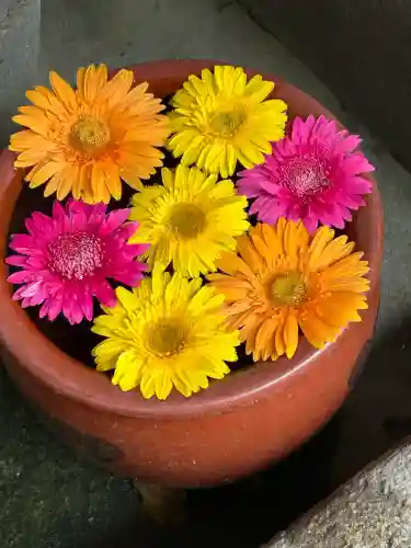菅生神社(愛知県)