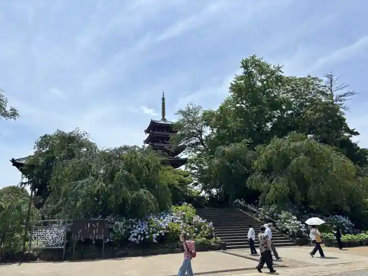 本土寺(千葉県)