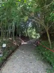 糸川神社(千葉県)