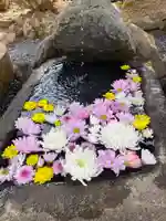 大鏑神社の手水舎