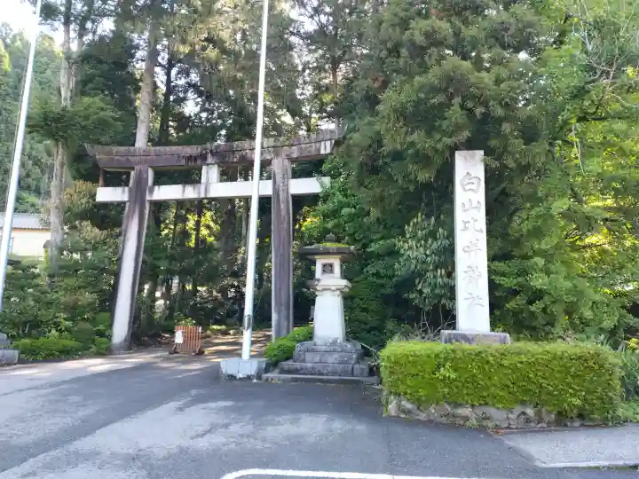 白山比咩神社の{uncategorized: "未分類", other: "その他", undefined: "問題あり", building: "その他建物", grave: "お墓", sacred_gate: "鳥居", guardian: "狛犬", statue: "像", buddha: "仏像", history: "歴史", nature: "自然", garden: "庭園", animal: "動物", pagoda: "塔", temizu: "手水舎", mountain_gate: "山門・神門", sanctuary: "本殿・本堂", subordinate: "末社・摂社", art: "芸術", scenery: "景色", jizo: "地蔵", ema: "絵馬", goshuin: "御朱印", omikuji: "おみくじ", items: "授与品その他", amulet: "お守り", goshuincho: "御朱印帳", eats: "食事", festival: "お祭り", votive_dance: "神楽", shichigosan: "七五三参", wedding: "結婚式", experience: "体験その他", initially: "初詣", around: "周辺", anti_infection: "感染症対策"}