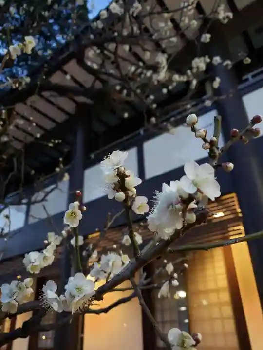 熊野神社の自然