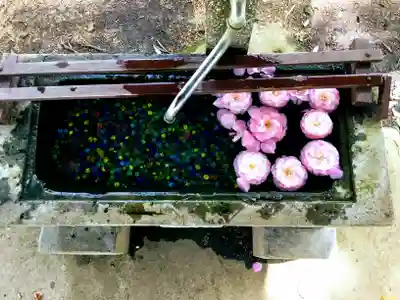 東蕗田天満社の手水舎