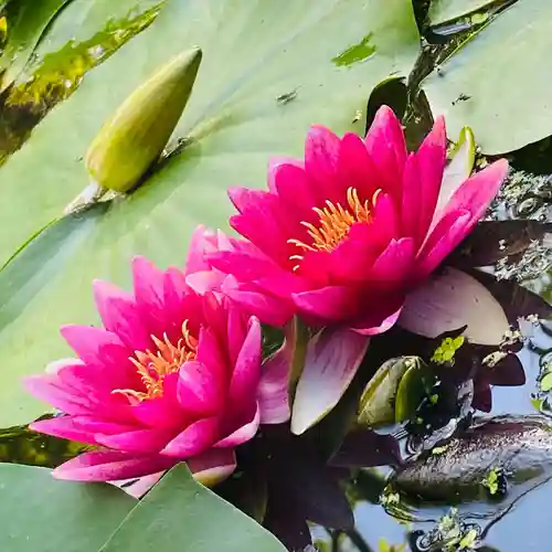 称名寺(宮城県)