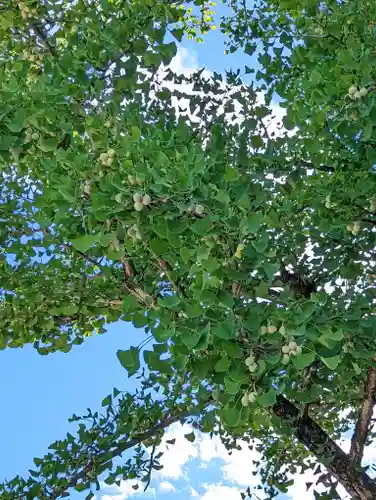 廣隆寺(京都府)