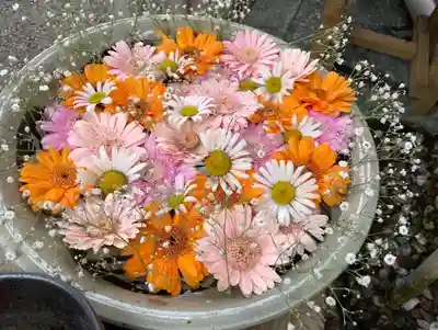 竹神社の手水舎