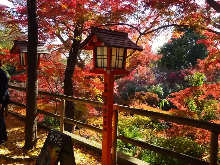 明王院(満願寺別院)の自然