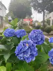 大野神社(埼玉県)