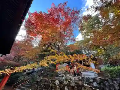 柳谷観音　楊谷寺　奥之院(京都府)