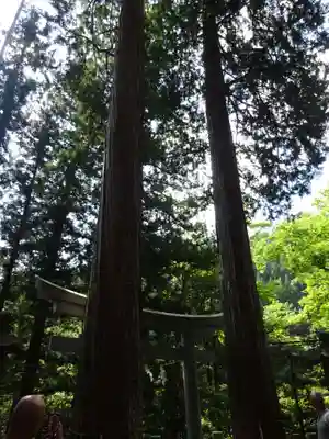 九頭龍神社の自然