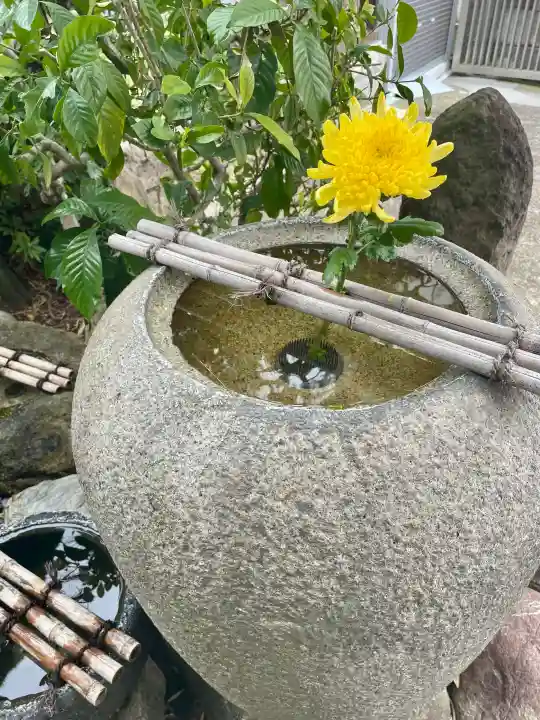 龍泉院の{uncategorized: "未分類", other: "その他", undefined: "問題あり", building: "その他建物", grave: "お墓", sacred_gate: "鳥居", guardian: "狛犬", statue: "像", buddha: "仏像", history: "歴史", nature: "自然", garden: "庭園", animal: "動物", pagoda: "塔", temizu: "手水舎", mountain_gate: "山門・神門", sanctuary: "本殿・本堂", subordinate: "末社・摂社", art: "芸術", scenery: "景色", jizo: "地蔵", ema: "絵馬", goshuin: "御朱印", omikuji: "おみくじ", items: "授与品その他", amulet: "お守り", goshuincho: "御朱印帳", eats: "食事", festival: "お祭り", votive_dance: "神楽", shichigosan: "七五三参", wedding: "結婚式", experience: "体験その他", initially: "初詣", around: "周辺", anti_infection: "感染症対策"}