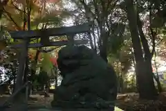 國祖神社の狛犬