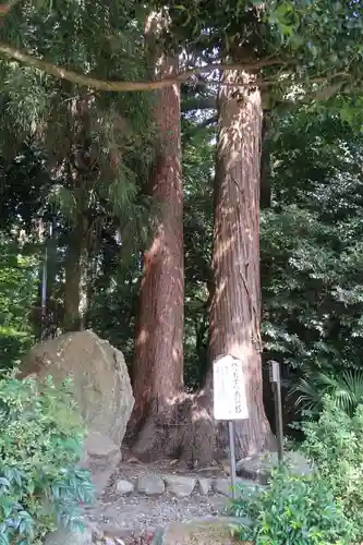 劒神社(福井県)