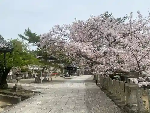 粉河寺の{uncategorized: "未分類", other: "その他", undefined: "問題あり", building: "その他建物", grave: "お墓", sacred_gate: "鳥居", guardian: "狛犬", statue: "像", buddha: "仏像", history: "歴史", nature: "自然", garden: "庭園", animal: "動物", pagoda: "塔", temizu: "手水舎", mountain_gate: "山門・神門", sanctuary: "本殿・本堂", subordinate: "末社・摂社", art: "芸術", scenery: "景色", jizo: "地蔵", ema: "絵馬", goshuin: "御朱印", omikuji: "おみくじ", items: "授与品その他", amulet: "お守り", goshuincho: "御朱印帳", eats: "食事", festival: "お祭り", votive_dance: "神楽", shichigosan: "七五三参", wedding: "結婚式", experience: "体験その他", initially: "初詣", around: "周辺", anti_infection: "感染症対策"}