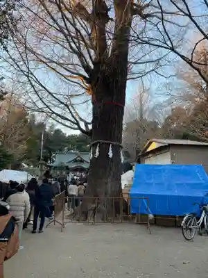 春日部八幡神社(埼玉県)