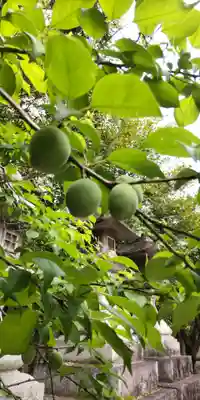 北野天満宮(京都府)