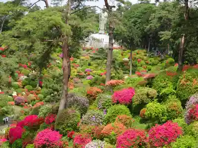 塩船観音寺の自然