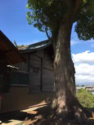 劒刀石床別命神社の本殿