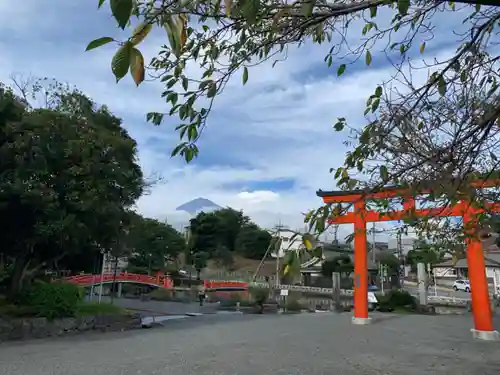 富士山本宮浅間大社の鳥居