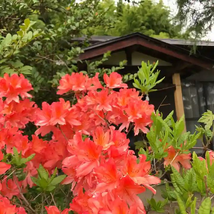 高司神社〜むすびの神の鎮まる社〜の自然