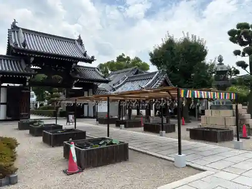 大念佛寺(大阪府)