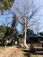 酒門神社の自然
