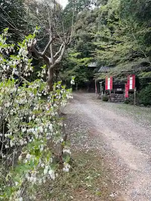 日龍峯寺(高澤観音)(美濃清水)(岐阜県)
