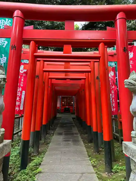 大杉神社 境内社 勝馬神社の{uncategorized: "未分類", other: "その他", undefined: "問題あり", building: "その他建物", grave: "お墓", sacred_gate: "鳥居", guardian: "狛犬", statue: "像", buddha: "仏像", history: "歴史", nature: "自然", garden: "庭園", animal: "動物", pagoda: "塔", temizu: "手水舎", mountain_gate: "山門・神門", sanctuary: "本殿・本堂", subordinate: "末社・摂社", art: "芸術", scenery: "景色", jizo: "地蔵", ema: "絵馬", goshuin: "御朱印", omikuji: "おみくじ", items: "授与品その他", amulet: "お守り", goshuincho: "御朱印帳", eats: "食事", festival: "お祭り", votive_dance: "神楽", shichigosan: "七五三参", wedding: "結婚式", experience: "体験その他", initially: "初詣", around: "周辺", anti_infection: "感染症対策"}