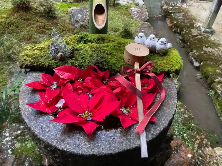 柳谷観音 楊谷寺の手水舎