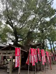 住吉大社(大阪府)