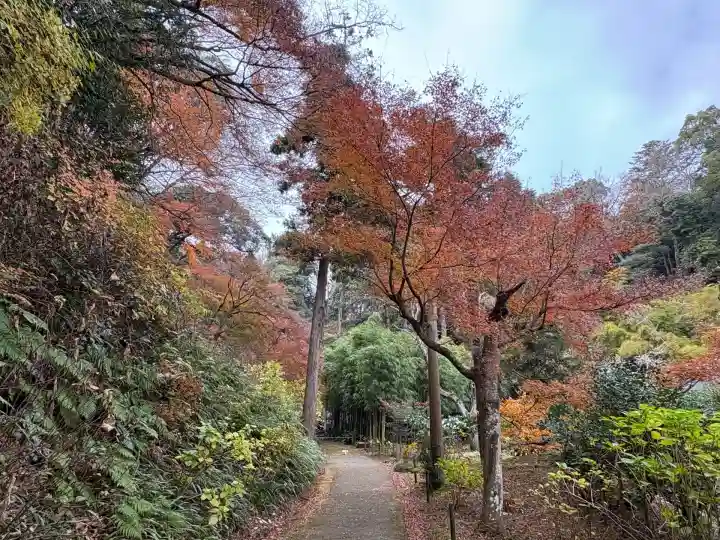 浄智寺(神奈川県)