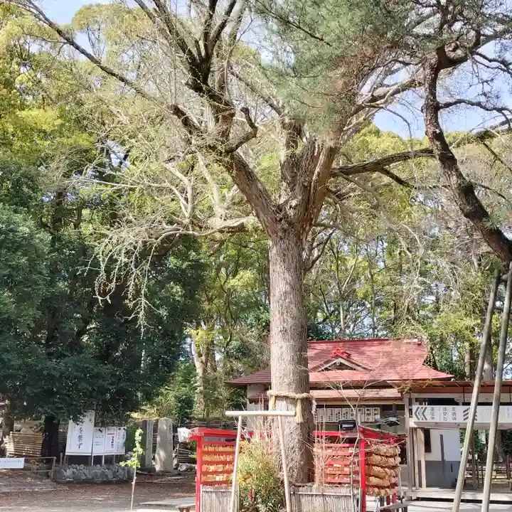 平塚八幡宮(神奈川県)