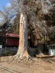 黒髪山神社里宮(群馬県)