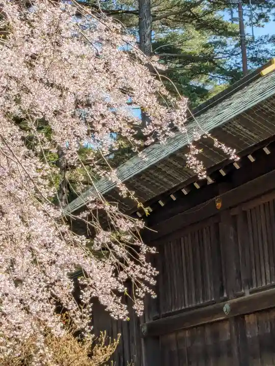 北海道神宮の自然