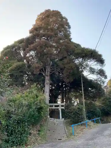 八幡神社の鳥居