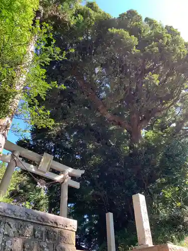 國勝神社の鳥居