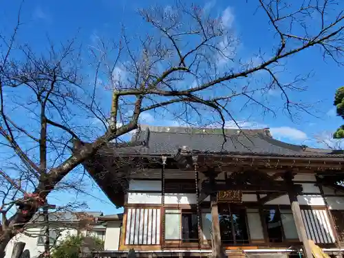 妙林寺の本殿・本堂