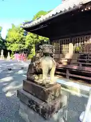 福母八幡宮の狛犬