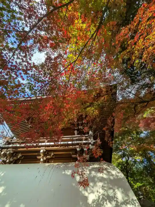 大正寺(東京都)