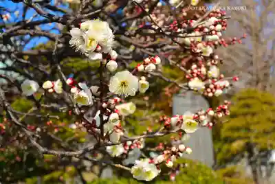 長泉寺(神奈川県)