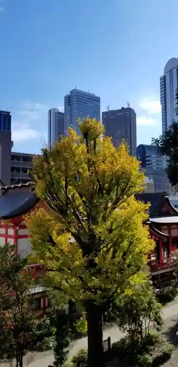 成子天神社の自然
