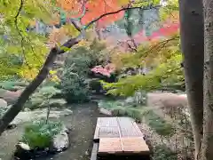 明月院(神奈川県)